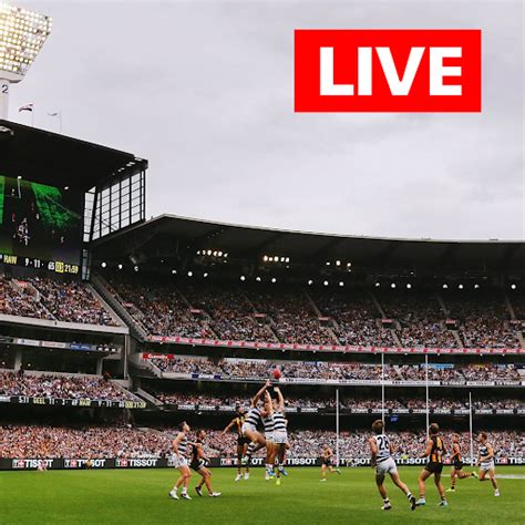 afl today on tv